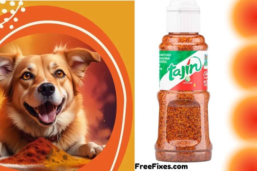 Can Dogs Eat Tajin?