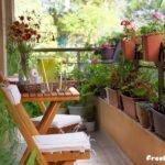 How to create a small garden in your apartment