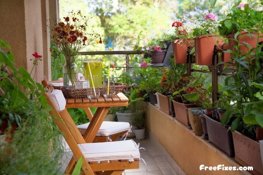 How to create a small garden in your apartment